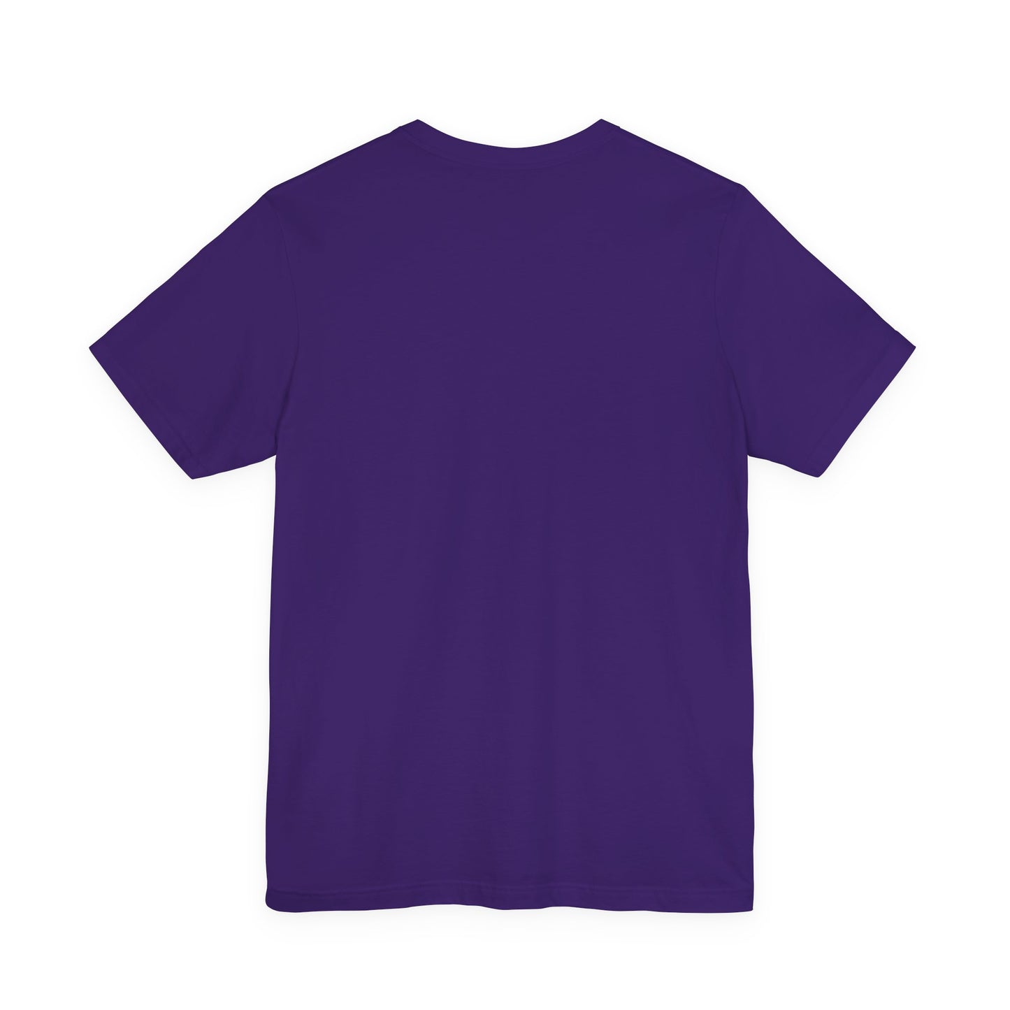Impeach Convict Remove White House Protest Tee